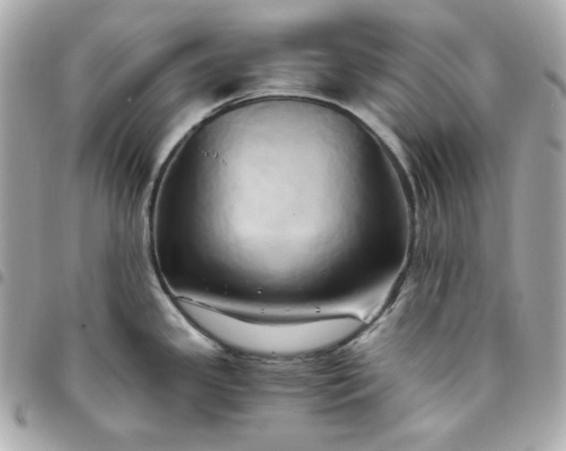 X0000096221341200802011335