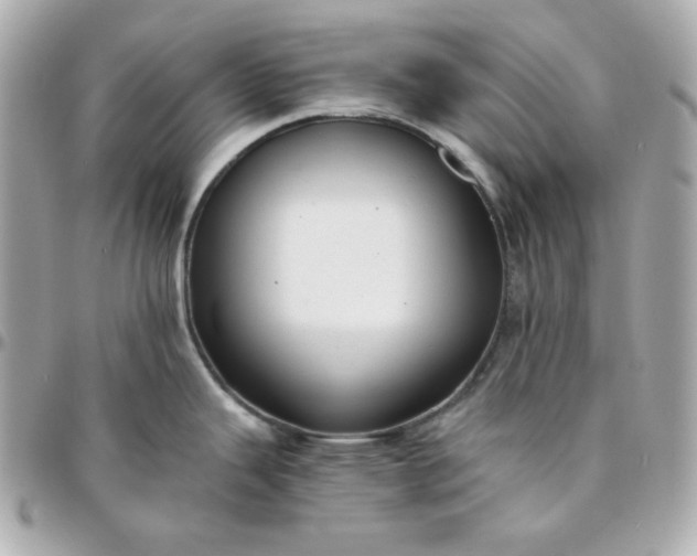 X0000096221343200802011335