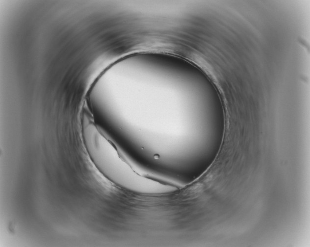 X0000096221344200802011335