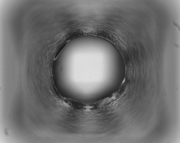 X0000096221345200802011334