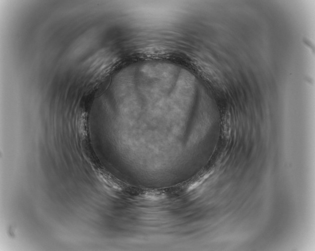 X0000096221346200802011334