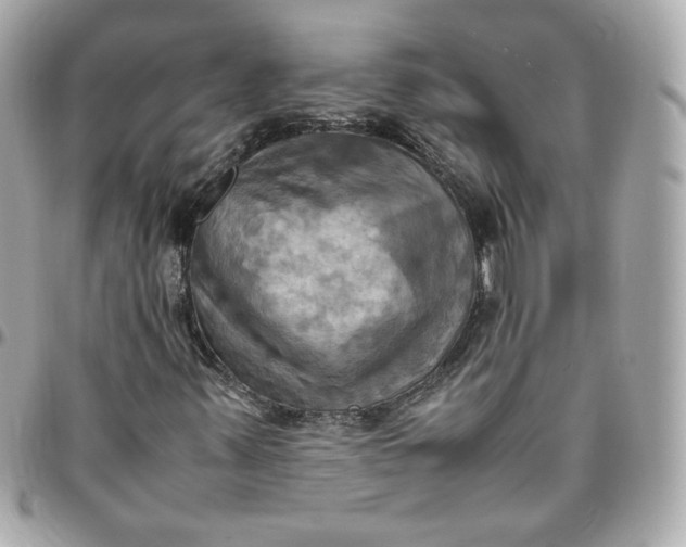 X0000096221347200802011334