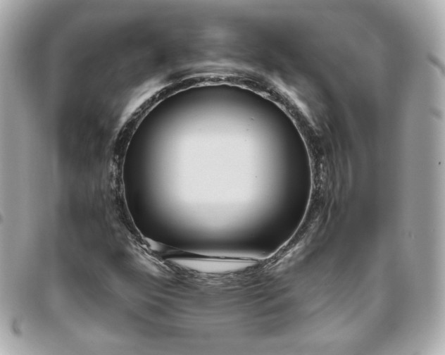 X0000096221352200802011334