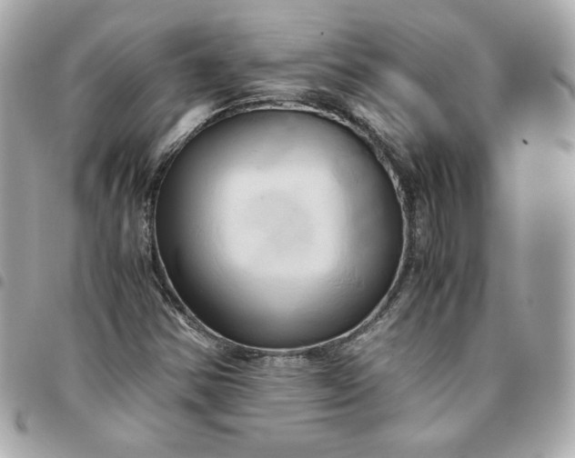 X0000096221354200802011334