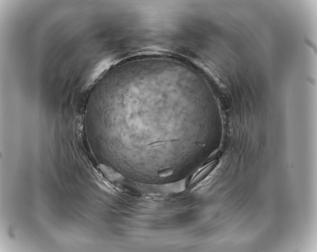 X0000096221355200802011334