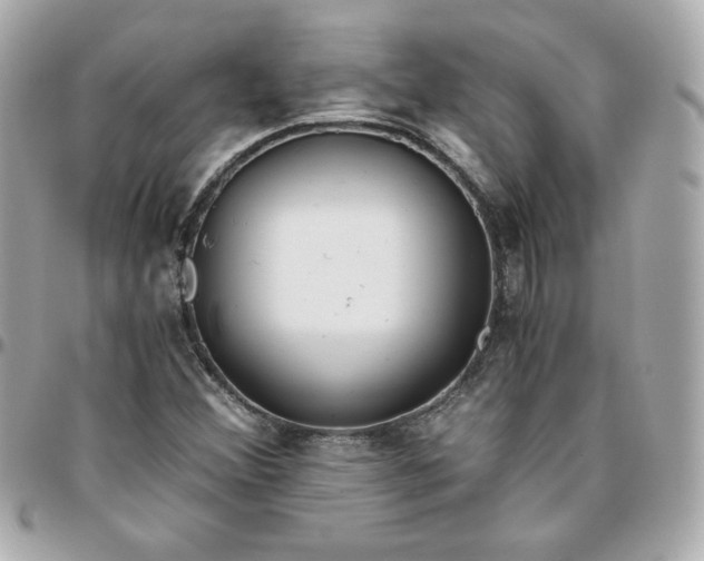 X0000096221356200802011334