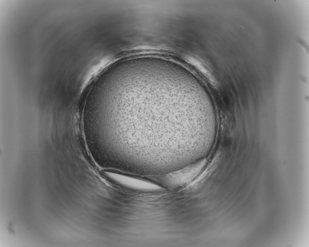 X0000096221357200802011334