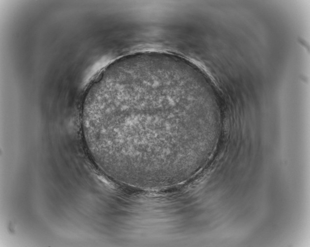 X0000096221359200802011334