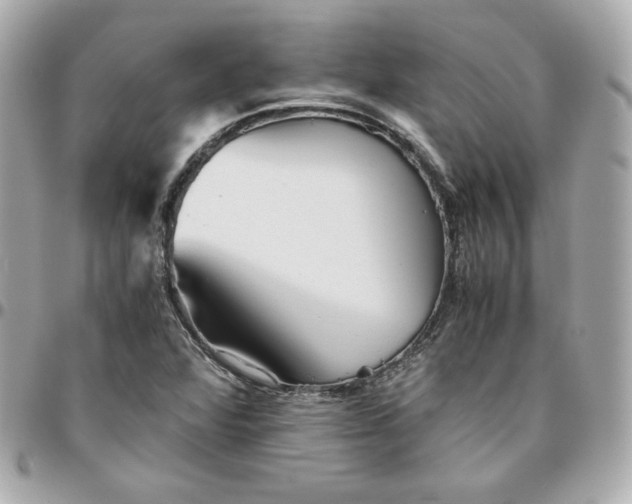 X0000096221360200802011334