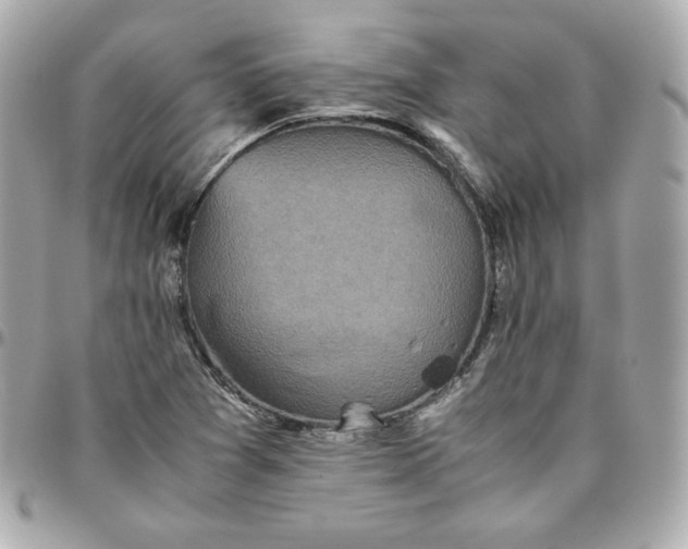 X0000096221361200802011334