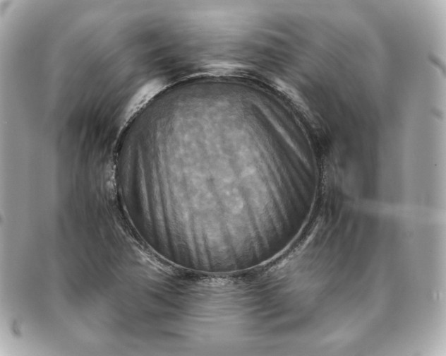 X0000096221362200802011334