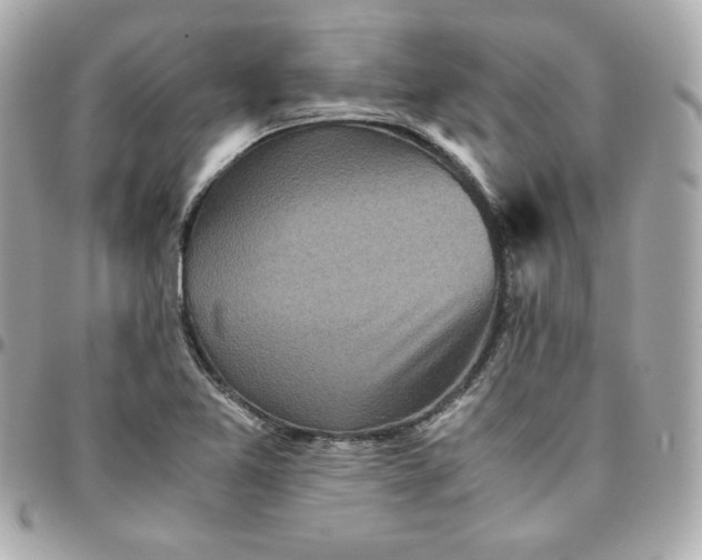 X0000096221365200802011334