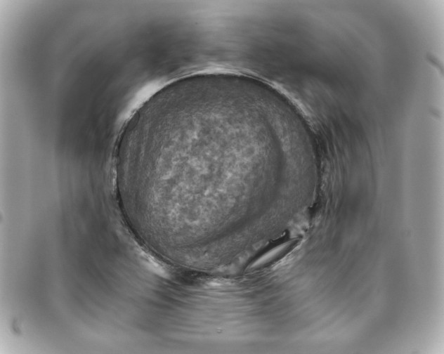 X0000096221367200802011333