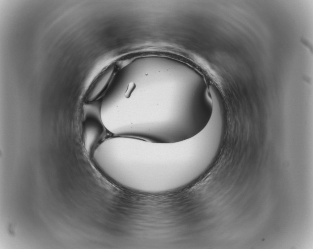 X0000096221368200802011333