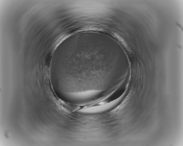 X0000096221369200802011333