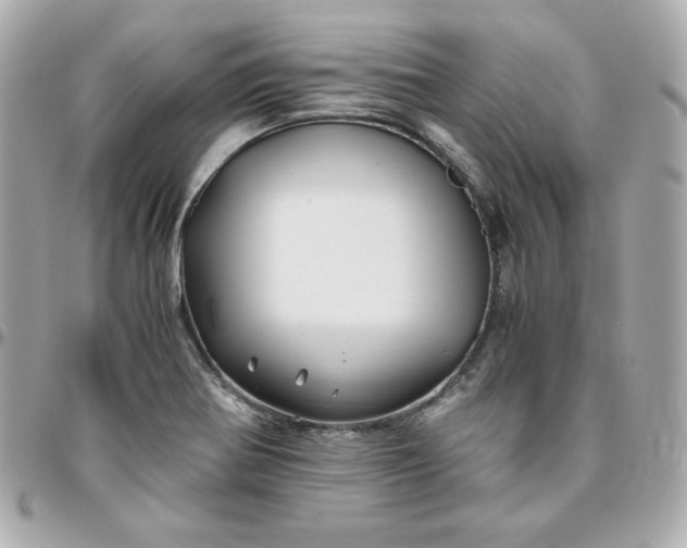 X0000096221370200802011333