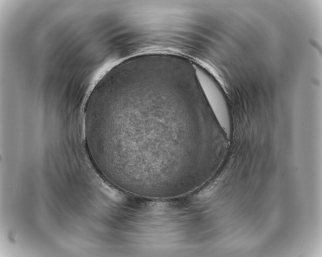 X0000096221371200802011333