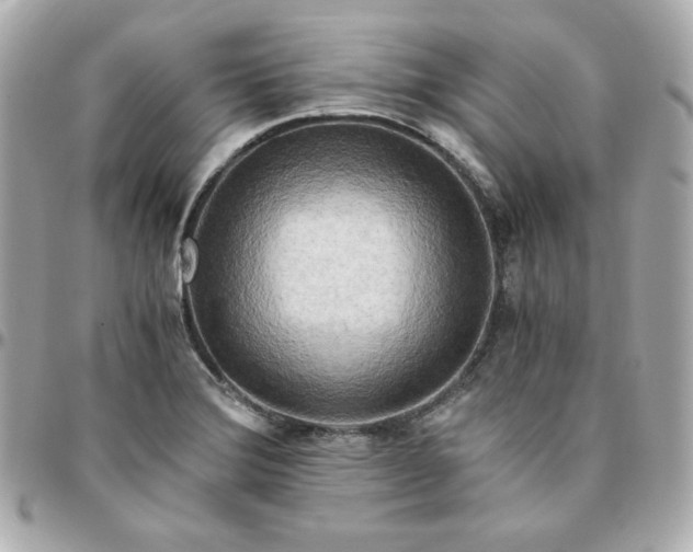 X0000096221372200802011333