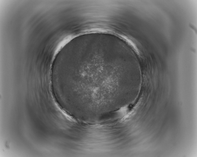 X0000096221373200802011333