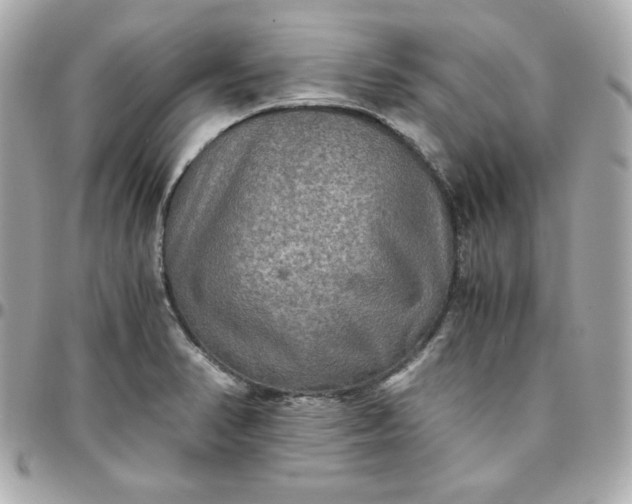 X0000096221374200802011333