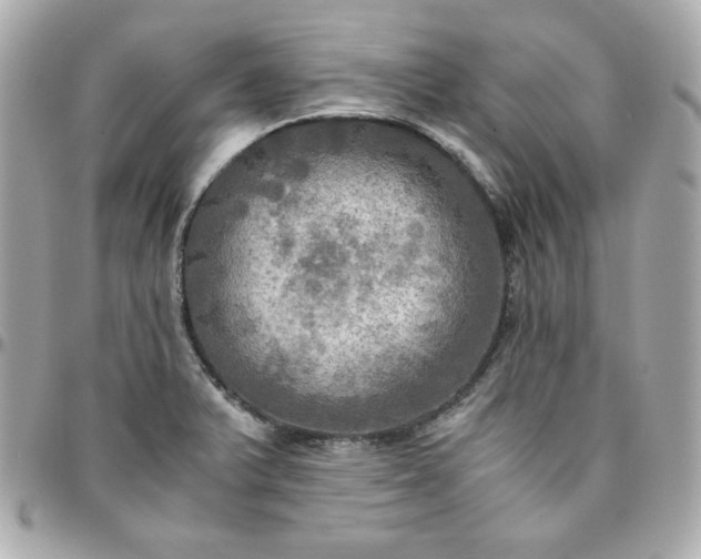 X0000096221375200802011333