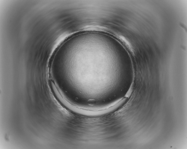 X0000096221376200802011333