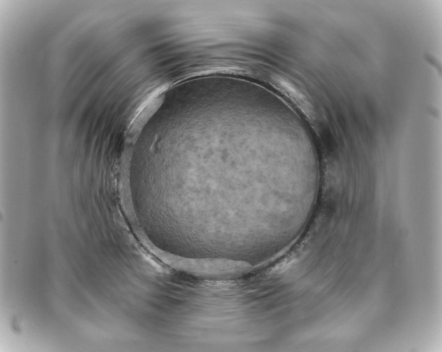 X0000096221377200802011333