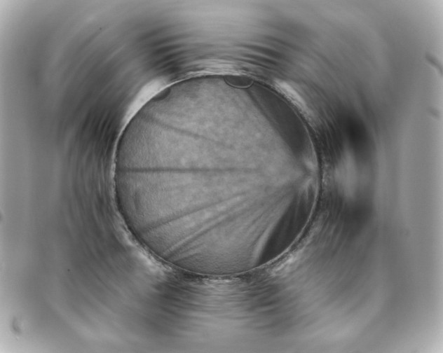 X0000096221378200802011333