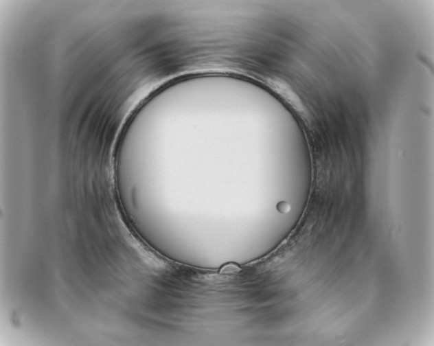 X0000096221380200802011333