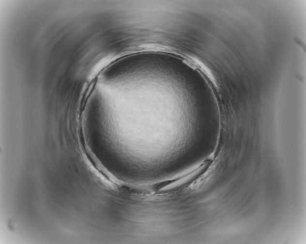 X0000096221381200802011333