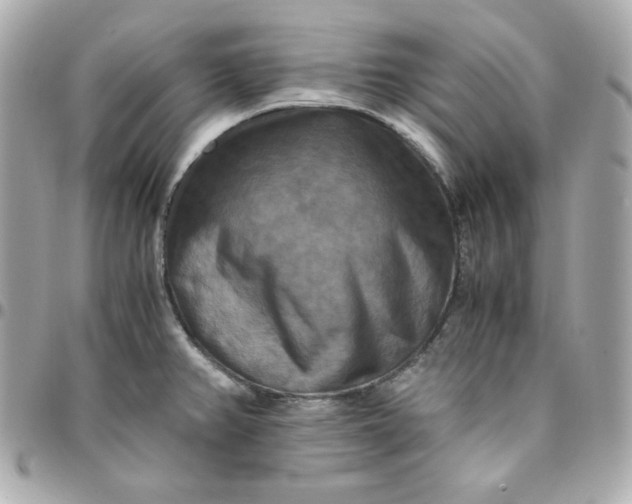 X0000096221382200802011333