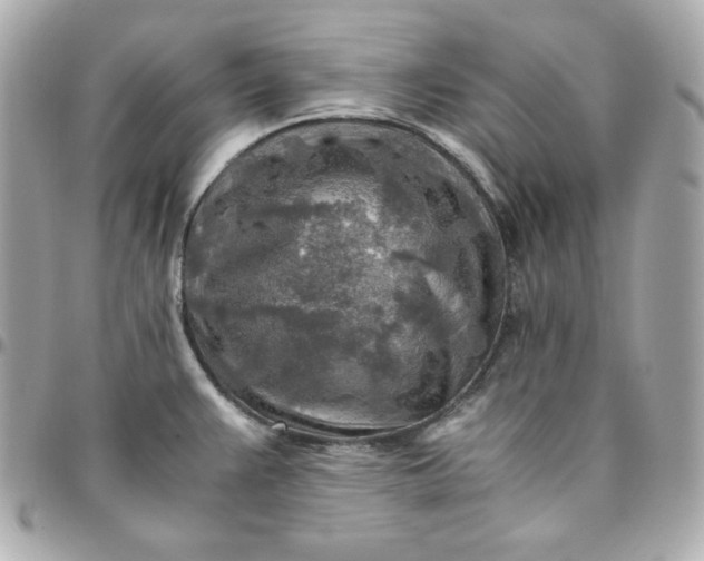 X0000096221383200802011333