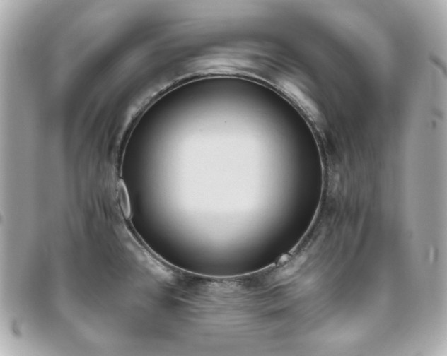 X0000096221384200802011333