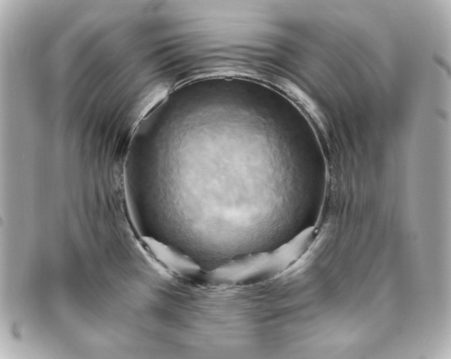 X0000096221385200802011333