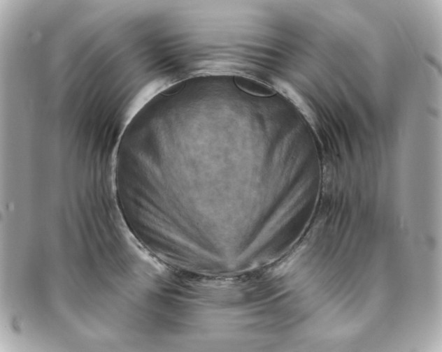 X0000096221386200802011333