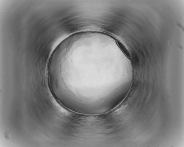 X0000096221387200802011333