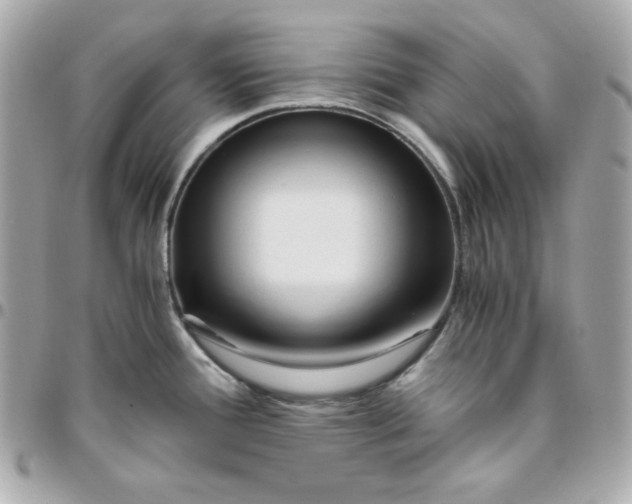 X0000096221388200802011333