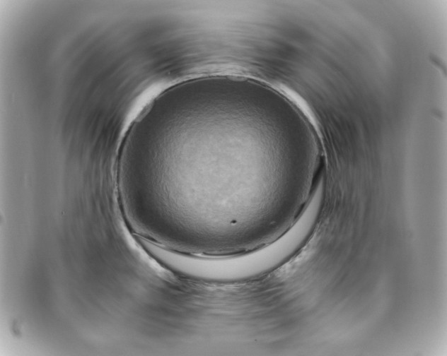 X0000096221389200802011333