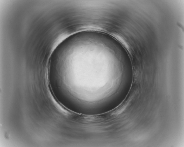 X0000096221391200802011333