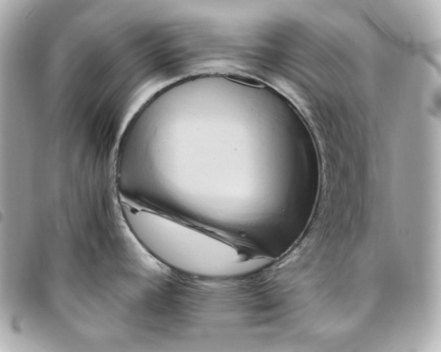 X0000096221392200802011333