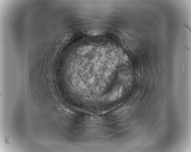 X0000096221393200802011332