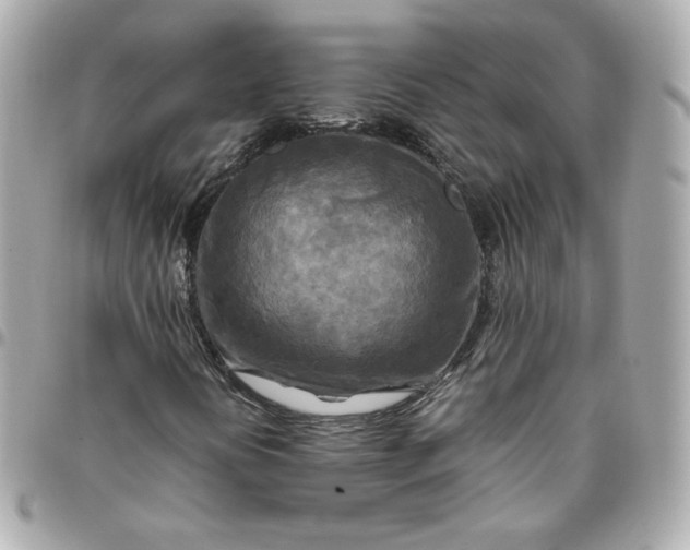 X0000096221394200802011332