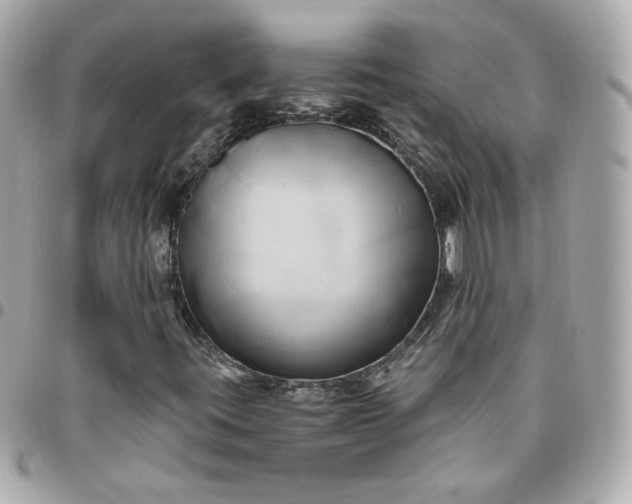 X0000096221395200802011332