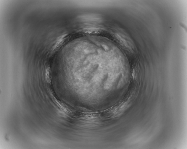 X0000096221396200802011332