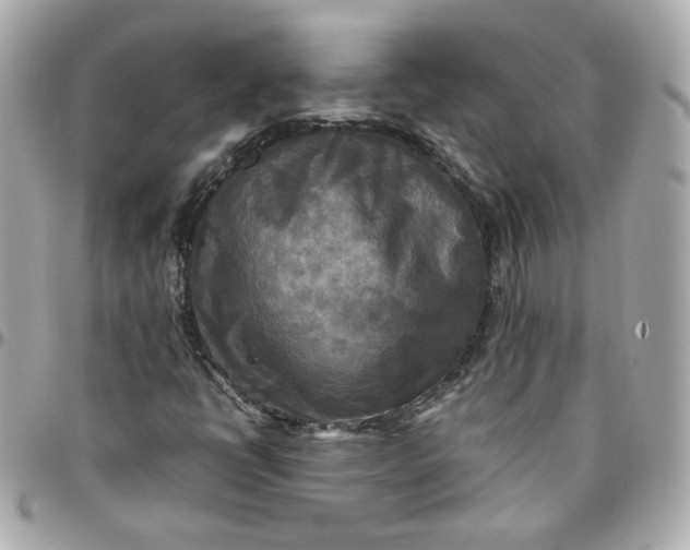 X0000096221398200802011332