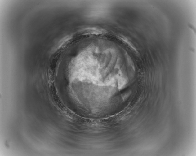 X0000096221399200802011332