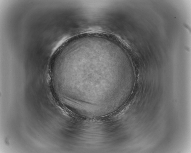 X0000096221400200802011332