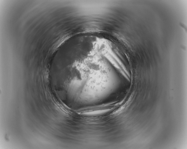 X0000096221401200802011332