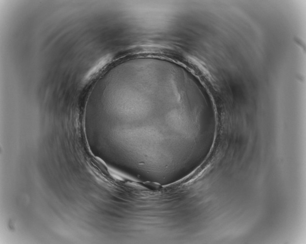 X0000096221403200802011332