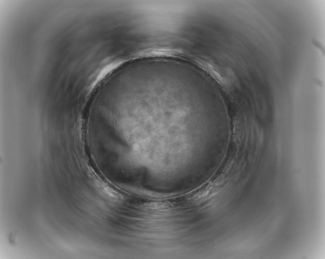 X0000096221404200802011332